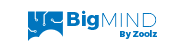 BigMIND